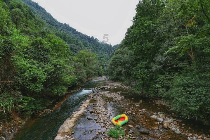 探索被造谣借马蓉炒作,王宝强维权获赔8万元,造谣者究竟居心何在?,解答你的疑问