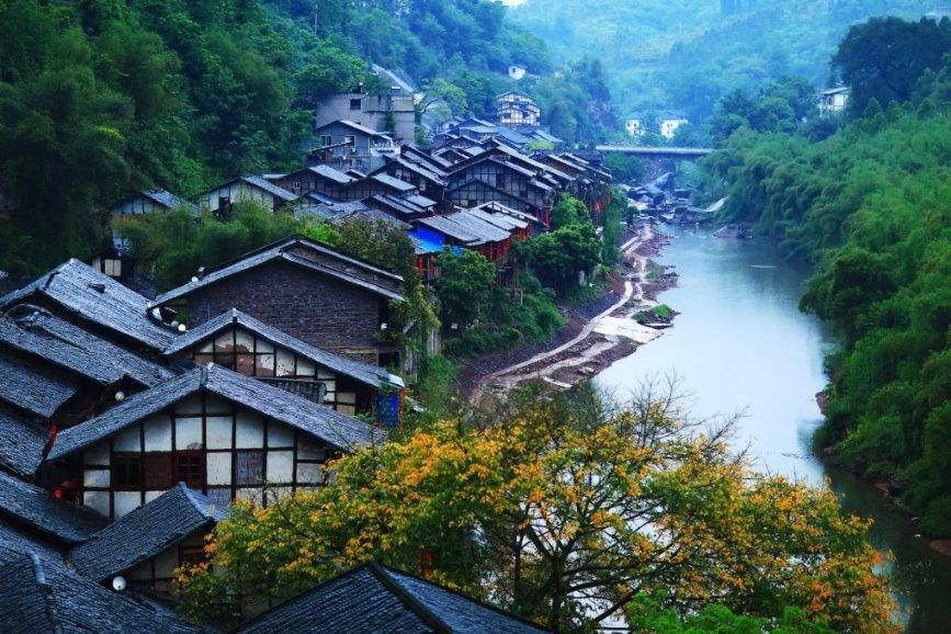 逃出林中村